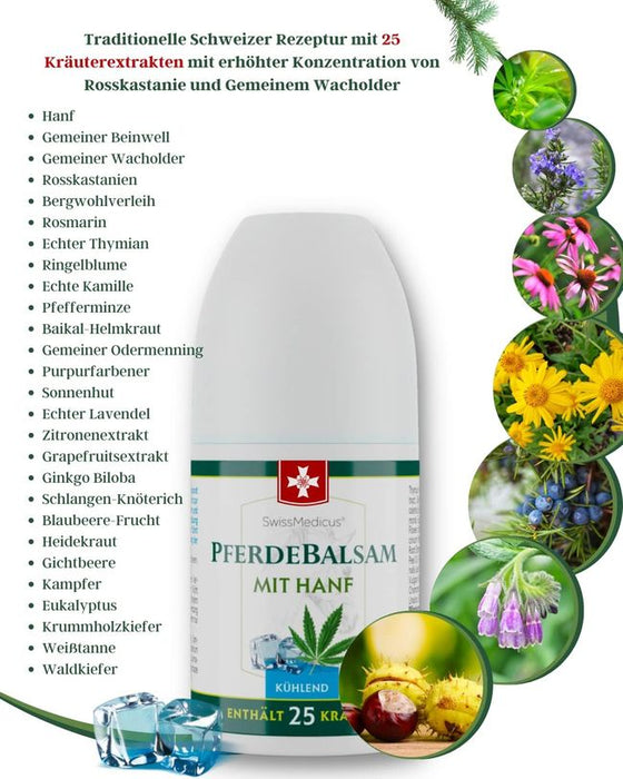SwissMedicus Pferdebalsam mit hanf - Roll-On