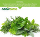 Naturalma Gemeine Beifuß Artemisia vulgaris Tabletten