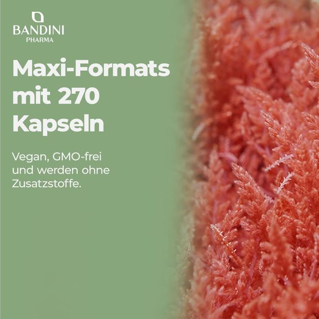 Bandini Pure Astaxanthin Kapseln