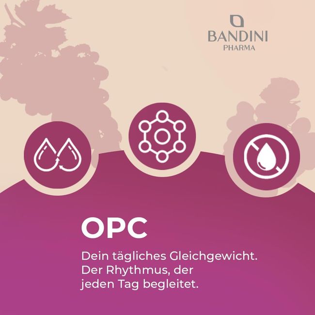 Bandini OPC Traubenkernextrakt  Kapseln