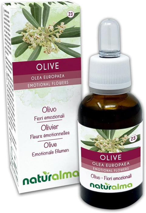 Naturalma Ölbaum Olea europaea Tropfen
