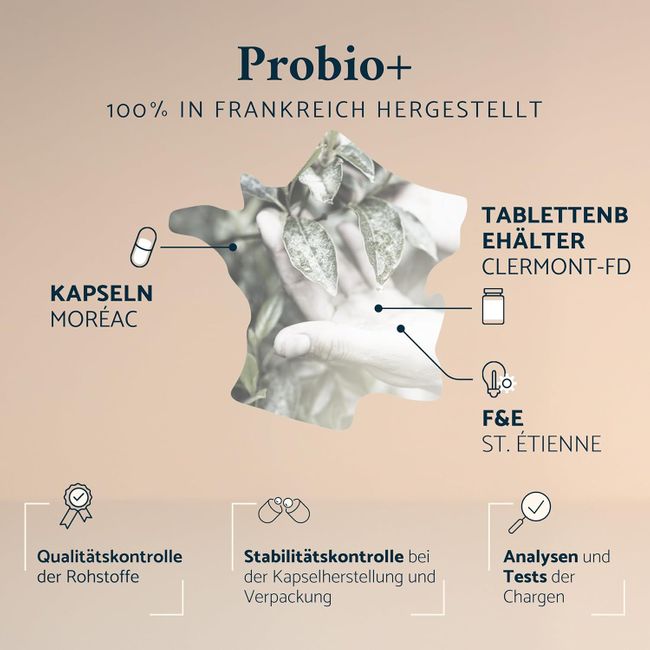 Apyforme - Probio+ Milchsäurebakterien