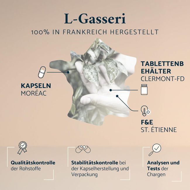 Apyforme - Lactobacillus Gasseri Bakterienstämme