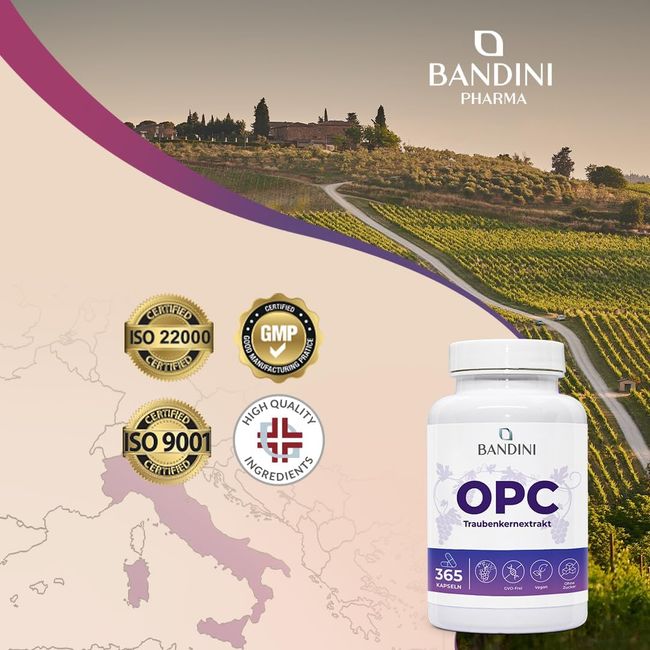 Bandini OPC Traubenkernextrakt  Kapseln