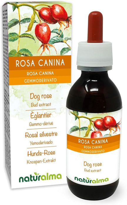 Naturalma Hunds-Rose Rosa canina Flüssig