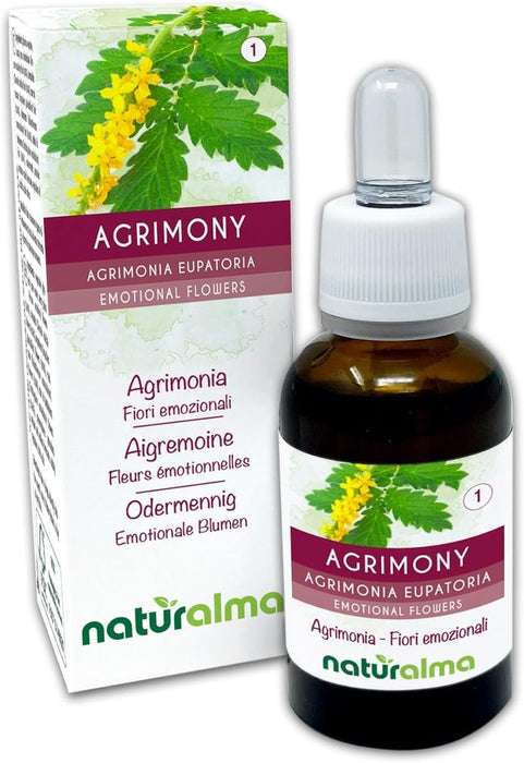 Naturalma Agrimony Agrimonia eupatoria Tropfen