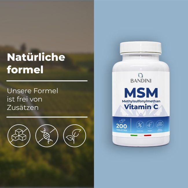 Bandini MSM VITAMIN C Tabletten