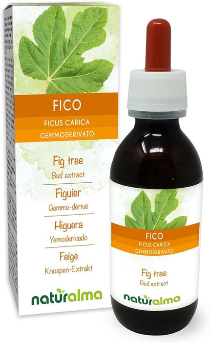 Naturalma Feige Ficus Flüssig