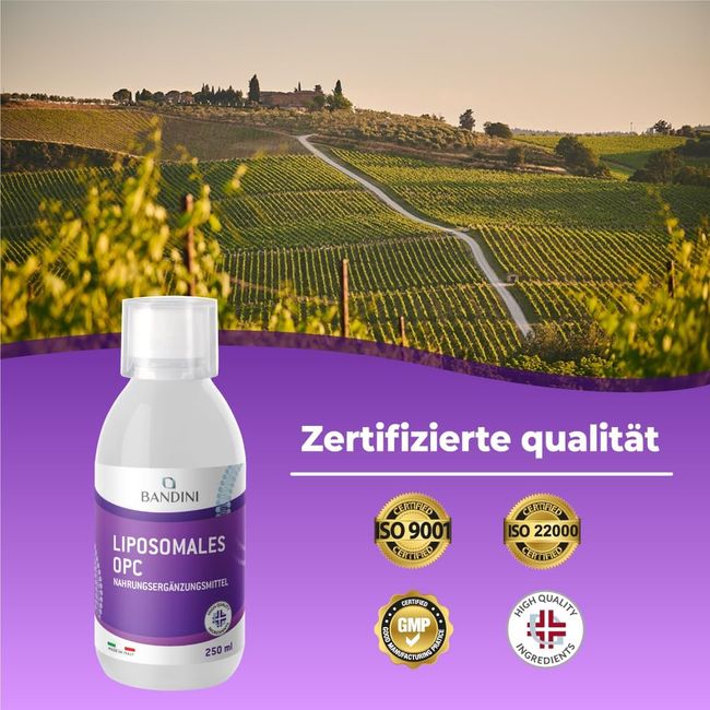 Bandini OPC Liposomal Traubenkernextrakt Flüssig