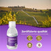 Bandini OPC Liposomal Traubenkernextrakt Flüssig