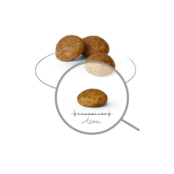 V5HB8A12ECD5E7ED783A69632E64D3DF63AR5624427P3