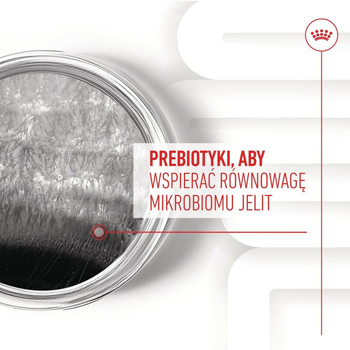 V5H0EF95C552E76EDF64FCEFF4AE47DD9F0R5624718P9