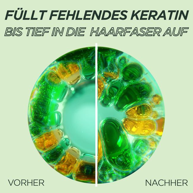 Garnier Fructis Schadenlöscher reparierendes Shampoo
