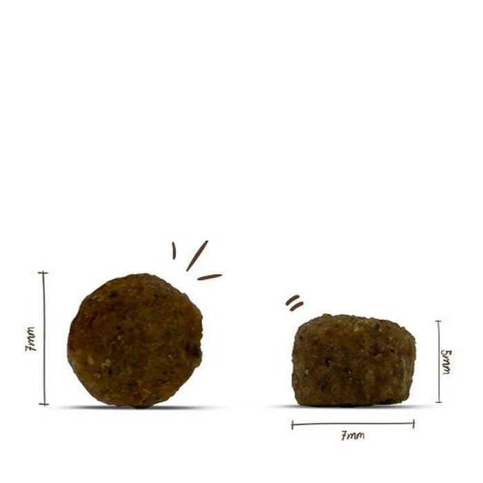 V5HBEF2A6E2D5EFBBF1D7DE9BD94E015388R5624093P2