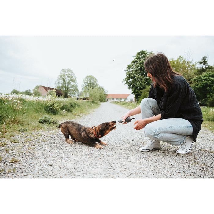 V4HE83D4BD6206717DE06B521DB3D7E1FFCR5574817P5