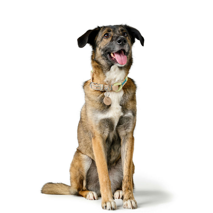 V5H9F64B99FA58FB2EDCD5F2C6DF2AE5AD2R5575489P5