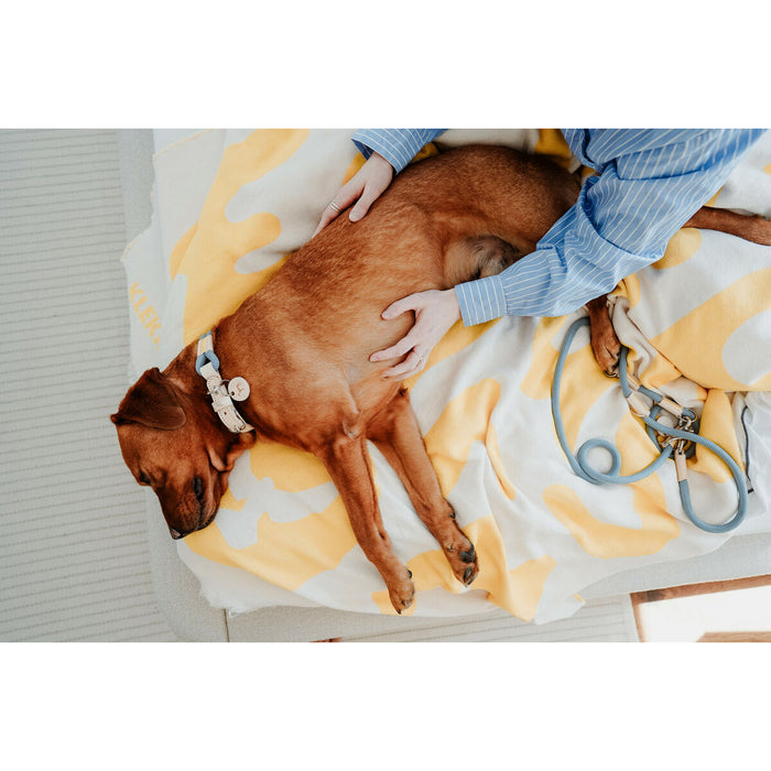 V5H94B02227748DA50F0BE1ED661F79F0C8R5575486P3