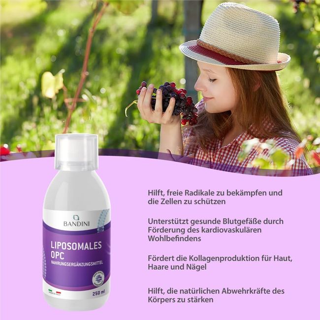 Bandini OPC Liposomal Traubenkernextrakt Flüssig