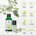 AROMATIKA  Eukalyptusöl
