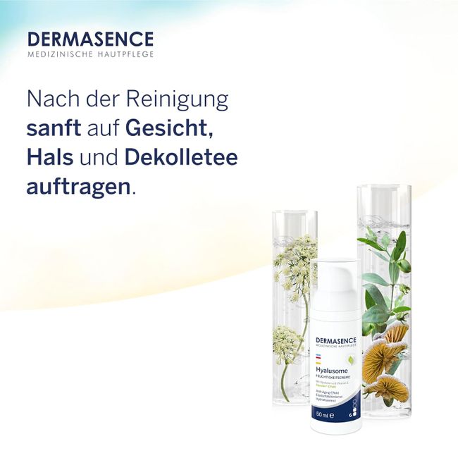 DERMASENCE Hyalusome Feuchtigkeitscreme Gesichtspflege