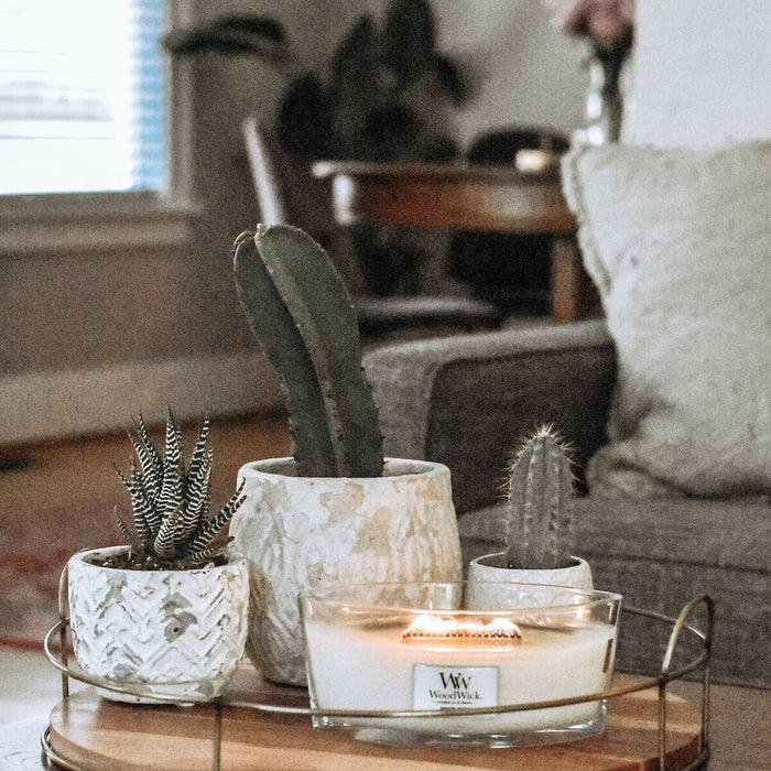 V2HF888C1FBE050FDC2B432CFD2B5D8CA93R5579864P8