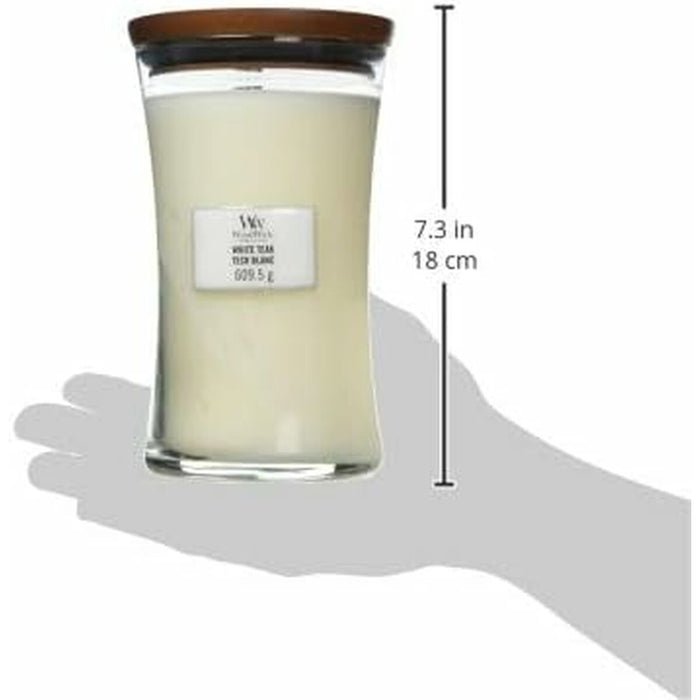 V2HDC3BBA63BE73C19D0C23AB84030B623ER5579865P9