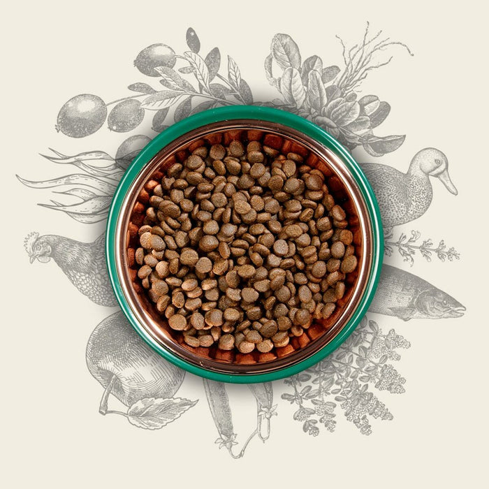 V5H012F617F635A9521386C21175BAD4B08R5624064P4