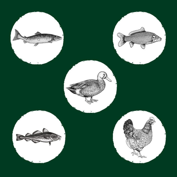 V5HEAFB7B106BF3B8509F35004CA26EE2BDR5624066P6