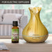 AROMATIKA  Duftmischung Zimtöl und Nelken