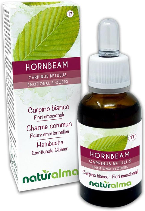 Naturalma Hainbuche Carpinus betulus Tropfen