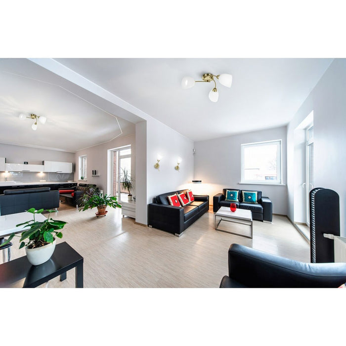 V10HE4038A14F4A45B1A0417DB46C9BA4AF1R6423406P3