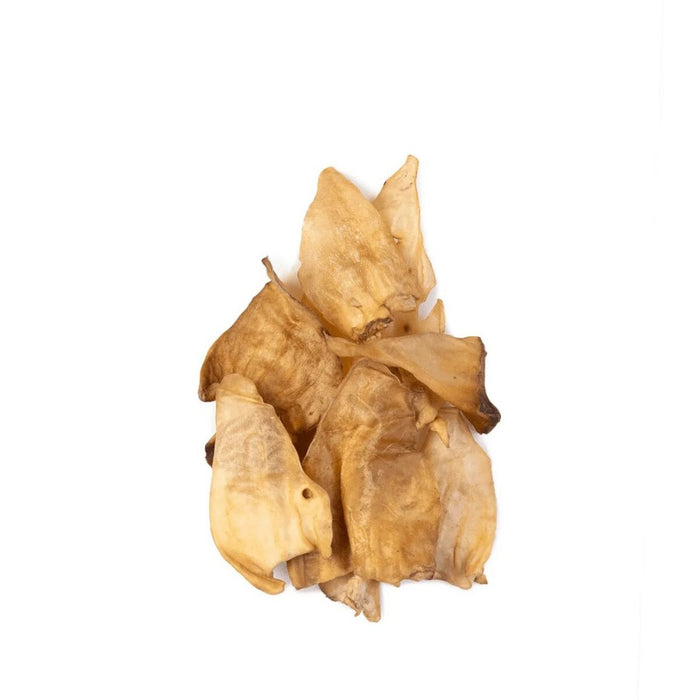 V5H3F08D3C064AD43E3AE0B3BC57E938F93R5623763P2