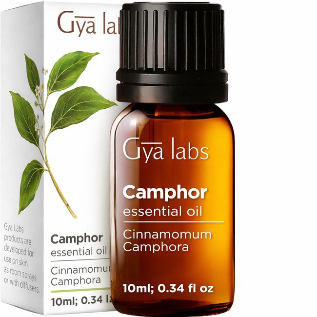 Gya Labs Ätherische Kampferöle