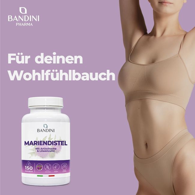 Bandini Mariendistel Artischocke und Löwenzahn-Komplex Kapseln