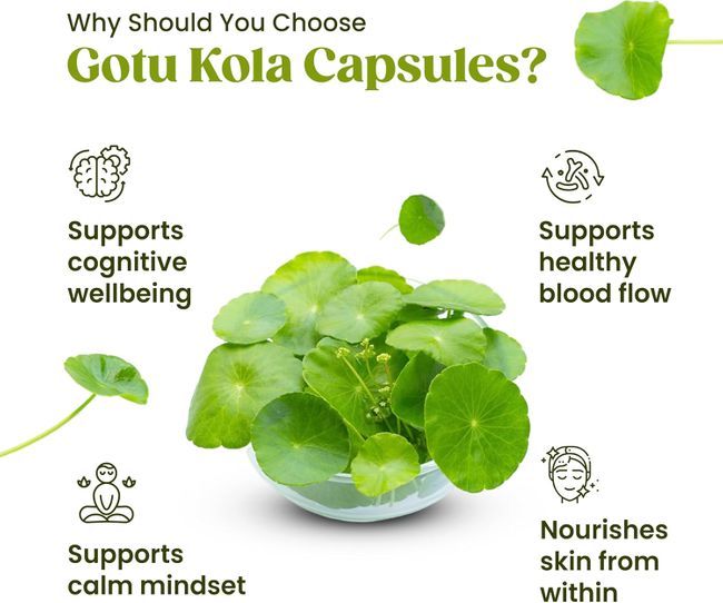 H&C Gotu Kola (Centella Asiatica) Kapseln