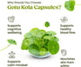 H&C Gotu Kola (Centella Asiatica) Kapseln