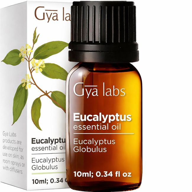 Gya Labs Ätherisches Eukalyptusöl