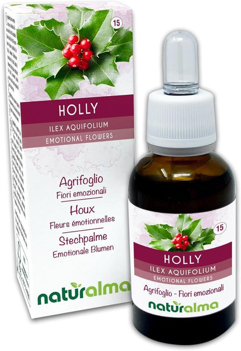 Naturalma Stechpalme Ilex aquifolium Tropfen