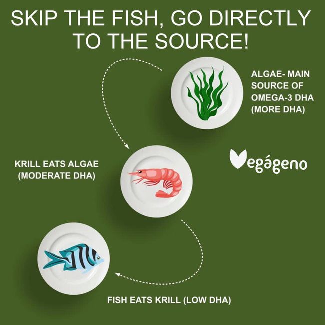 VEGÁGENO Veganes OMEGA 3 aus Algenöl Gelkapseln