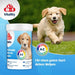 8in1 Multivitamin Tabletten Puppy