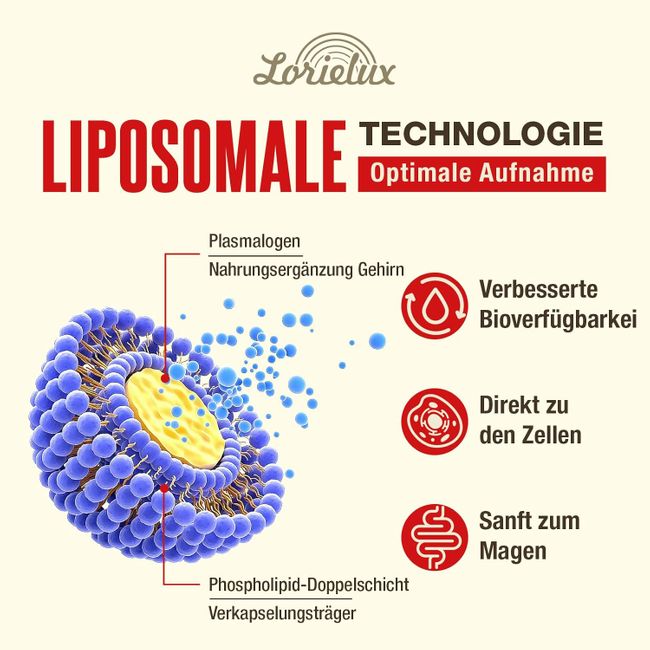 Lorielux Liposomal Plasmalogen Nootropic Kapseln