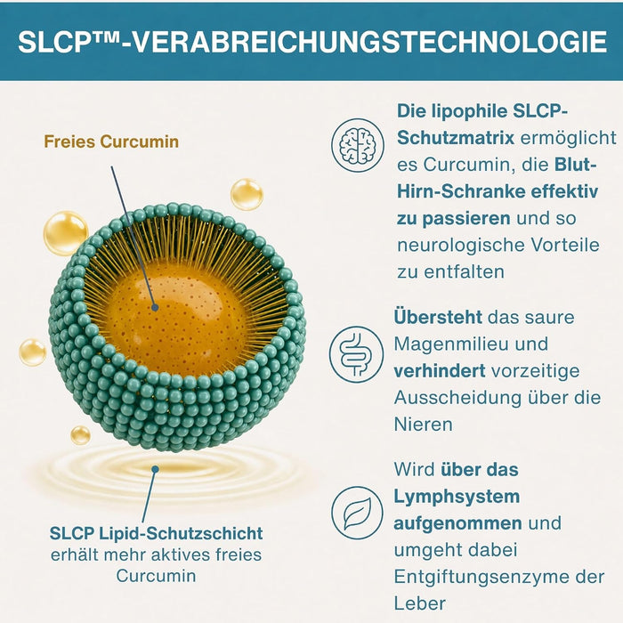 Igennus Longvida Optimised Curcumin V2602-0999