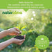 Naturalma Gemeine Beifuß Artemisia vulgaris Tabletten