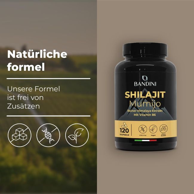 Bandini Mumijo Shilajit Kapseln