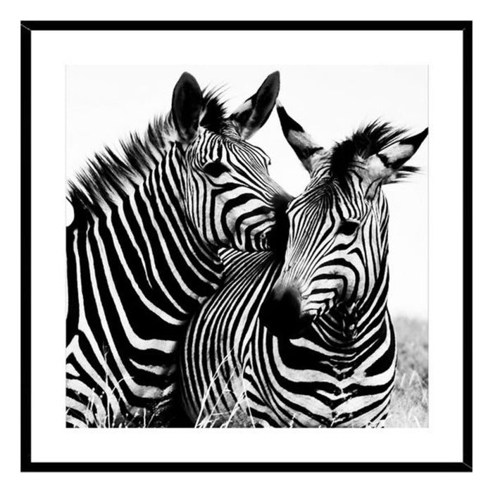 Bild Zebra Kristall (2 x 50 x 50 cm)