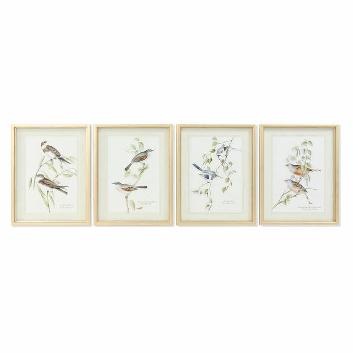 Bild DKD Home Decor Vögel (35 x 2.5 x 45 cm) (4 pcs)