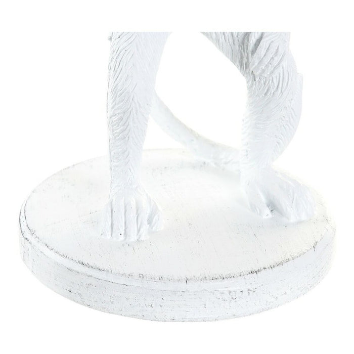 V11H7496753E7F9B88C5536ED50869B839DBR6371086P4