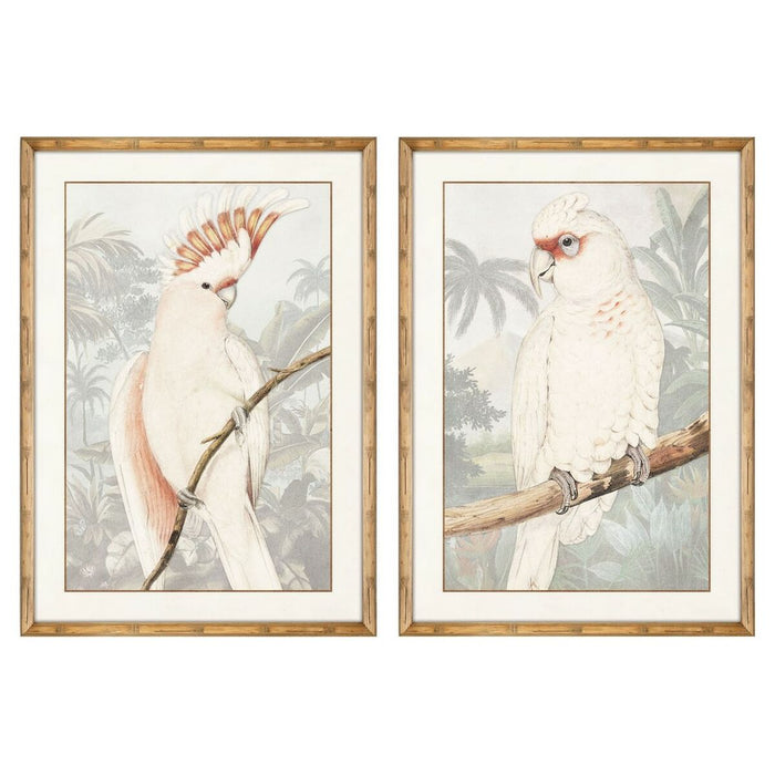 V14H4CD3249F896918E1F594EA9B73AB4F11R6371754P1