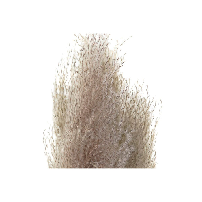 V7HC2A1099C6108E02D687FF03C29FB90A2R5661288P2