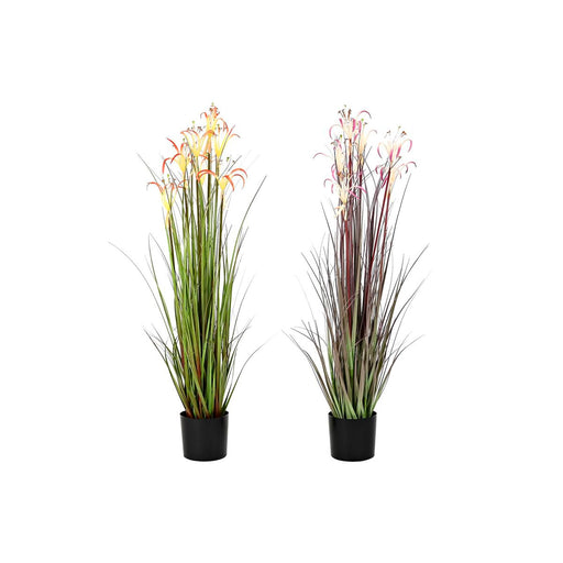 V11H0ACD8467ED6640ED43CCD9066BB1E3FCR6377937P1